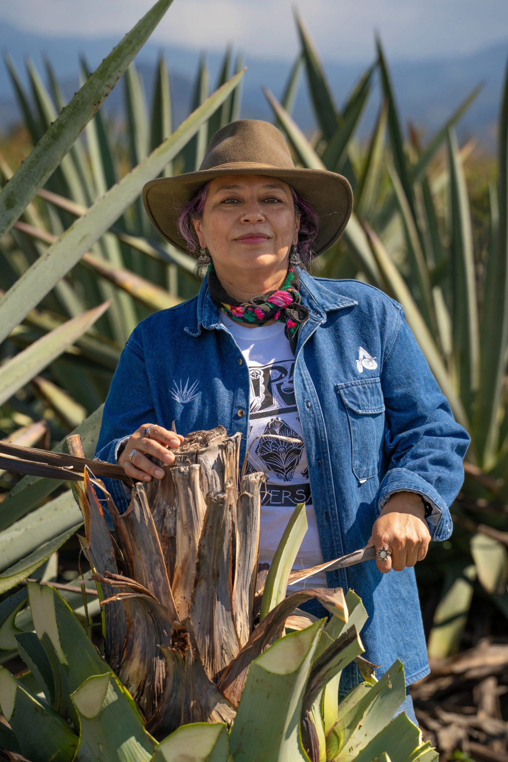 Mezcal Los Danzantes / Alipús