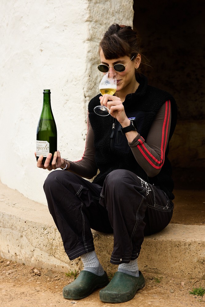 Vin de la Gamba
