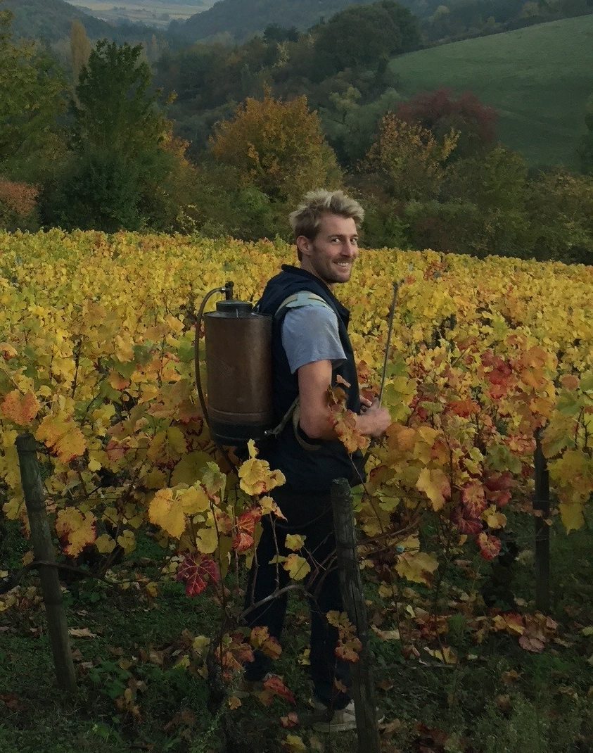 Domaine Dandelion
